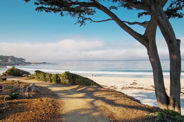 White sand beach and trail with tree in Carmel, CA. (Photo:©Irina88w/Dreamstime.com)
